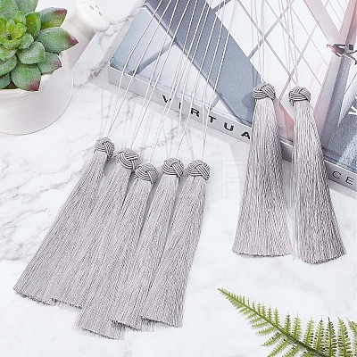 Polyester Tassel Pendant Decorations LS-AJEW-WH0312-94-1