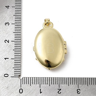 Brass Micro Pave Clear Cubic Zirconia Locket Pendants X-KK-L262-07G-1