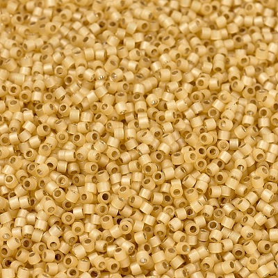 MIYUKI Delica Beads X-SEED-J020-DB2186-1