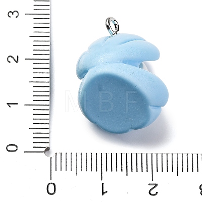 Opaque Resin Pendants RESI-P043-01P-04-1