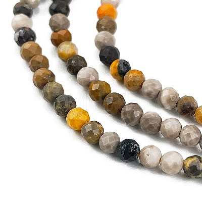 Natural Bumblebee Jasper Beads Strands G-L597-C03-01-1