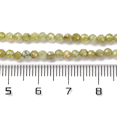 Natural Green Garnet Beads Strands G-A235-A02-02-1