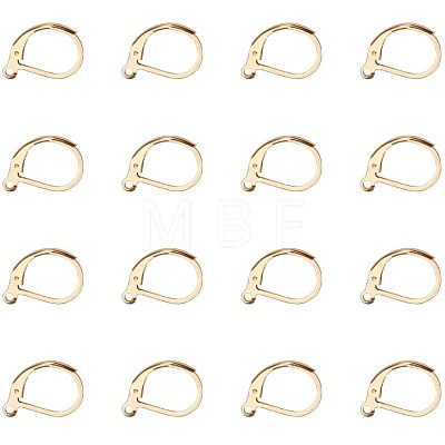 304 Stainless Steel Leverback Earring Findings STAS-PH0018-28G-1