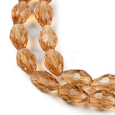Glass Beads Strands GLAA-R024-15x10mm-17-1