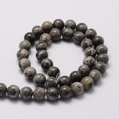 Natural Map Stone/Picasso Stone/Picasso Jasper Round Beads Strands G-E329-10mm-47-1