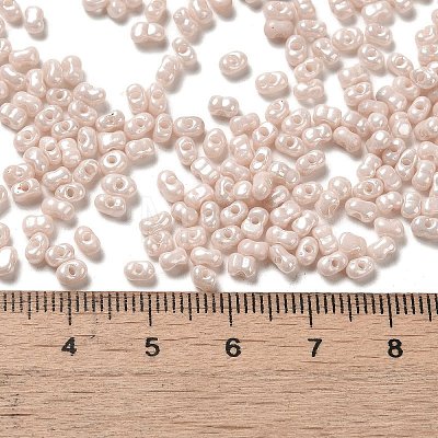 Glass Seed Beads SEED-K009-02A-01-1