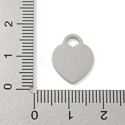 Non-Tarnish 304 Stainless Steel Pendants FIND-M017-01P-V-1