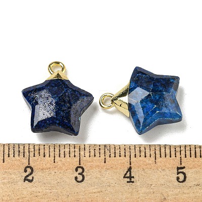 Natural Lapis Lazuli Pendants G-P540-01G-04-1