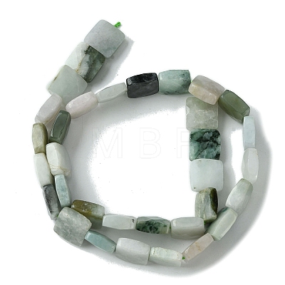 Natural Myanmar Jadeite Beads Strands G-A092-C01-03-1