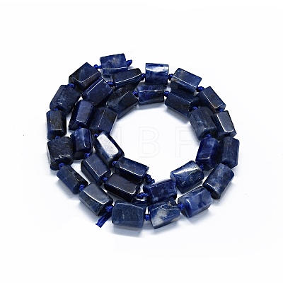 Natural Sodalite Beads Strands G-O170-101-1