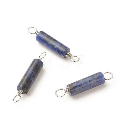 Natural Sodalite Connector Charms PALLOY-JF01574-01-1