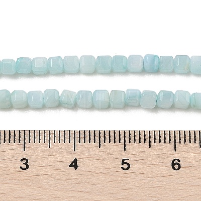 Natural Freshwater Shell Dyed Beads Strands SHEL-R100-11A-03-1