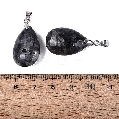 Natural Larvikite Pendants G-N362-03P-01-1