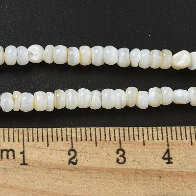 Dyed Natural Freshwater Shell Beads Strands X1-BSHE-G039-07N-1