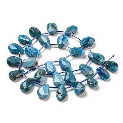 Natural Apatite Beads Strands G-Z040-A07-01-1