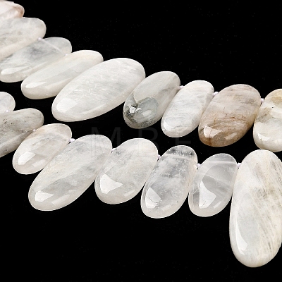 Natural Moonstone Beads Strands G-M408-D03-1