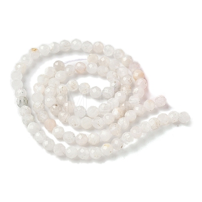 Natural Moonstone Beads Strands G-C201-B06-4mm-1
