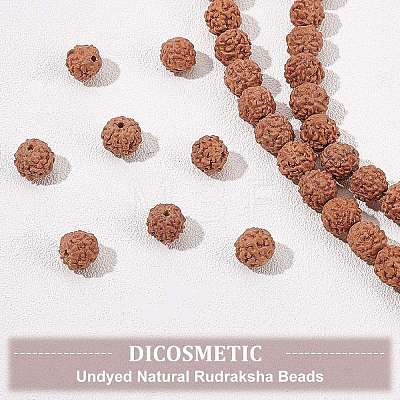 Undyed Natural Rudraksha Beads WOOD-DC0001-01-1