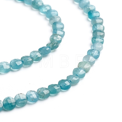 Natural Apatite Beads Strands G-E560-C10-4mm-1