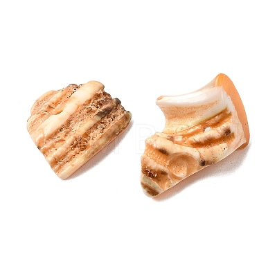Natural Shell Bead Strands BSHE-P010-06-1