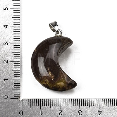 Natural Rhyolite Jasper Pendants G-F820-02A-1