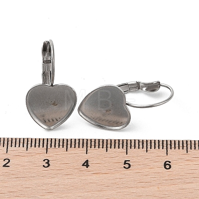 304 Stainless Steel Hoop Earrings Findings STAS-K278-09P-1