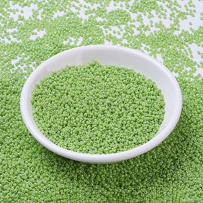 MIYUKI Round Rocailles Beads X-SEED-G007-RR0479-1