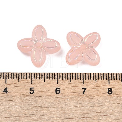 Frosted Transparent Acrylic Beads OACR-P029-09B-02-1