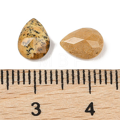 Natural Picture Jasper Cabochons G-C146-01B-1