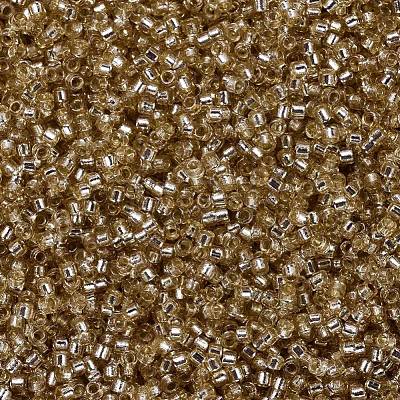 MIYUKI Delica Beads SEED-J020-DB2155-1