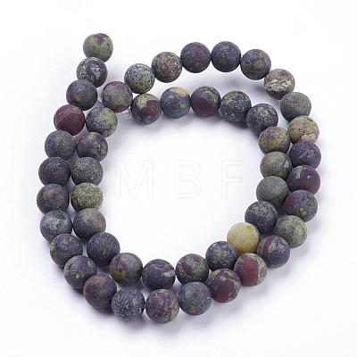 Natural Bloodstone Beads Strands G-F520-59-10mm-1