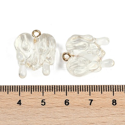 Resin Pendants RESI-I060-01E-1