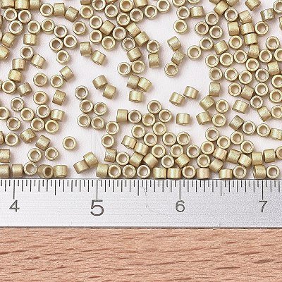 MIYUKI Delica Beads X-SEED-J020-DB0334-1