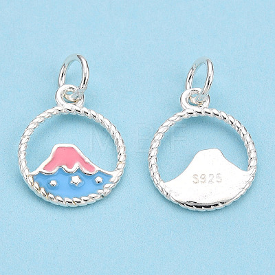 925 Sterling Silver Enamel Charms STER-T004-06S-02-1