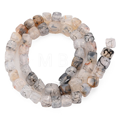 Natural Agate Beads Strands G-N326-99F-1