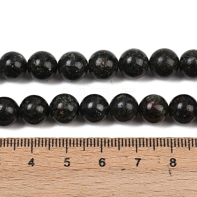 Natural Seraphinite Beads Strands G-H337-A03-04-1