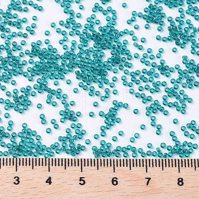 MIYUKI Round Rocailles Beads X-SEED-G009-RR2406-1
