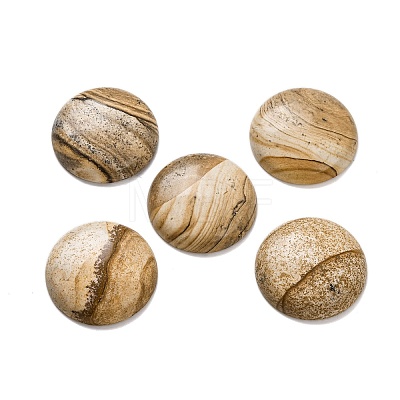 Natural Picture Jasper Cabochons G-B085-02A-07-1