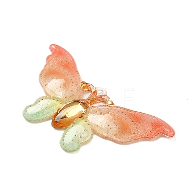 Gradient Color Resin Pendants RESI-Q012-03A-1