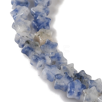 Natural Blue Spot Jasper Beads Strands G-G085-B41-01-1