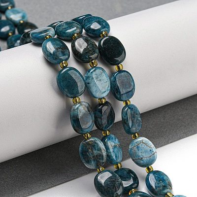 Natural Apatite Beads Strands G-H005-A03-03-1