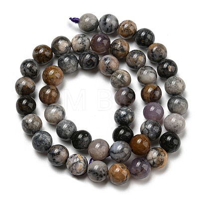 Natural Dendritic Jasper Beads Strands G-R494-A23-03-1