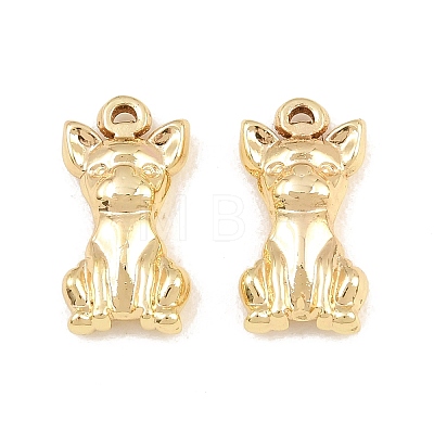 304 Stainless Steel Pendants SA-CBA76DA-19G-C-1