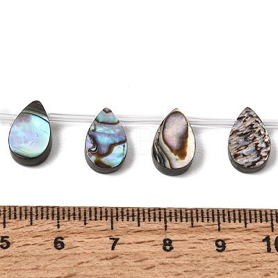 Natural Abalone Shell Paua Shell Beads Strands SH-CBA69D1-02-1