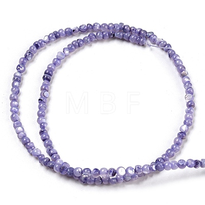 Natural White Shell Dyed Beads Strands BSHE-Z005-03C-1