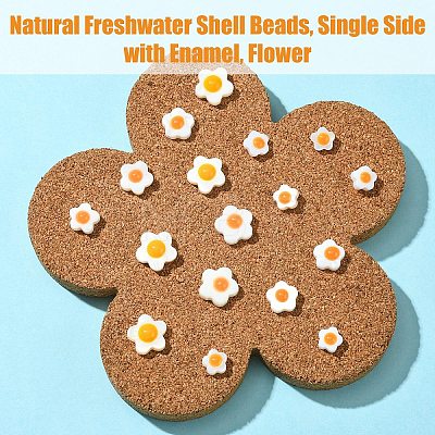 Natural Freshwater Shell Beads SHEL-YW0001-04A-1