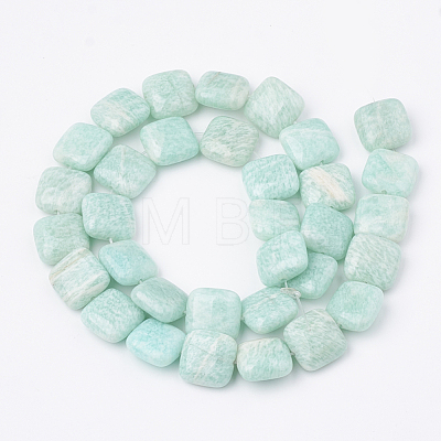 Natural Amazonite Beads Strands G-S299-94-1