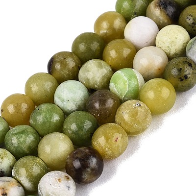Natural Serpentine Beads Strands G-Q616-07B-1