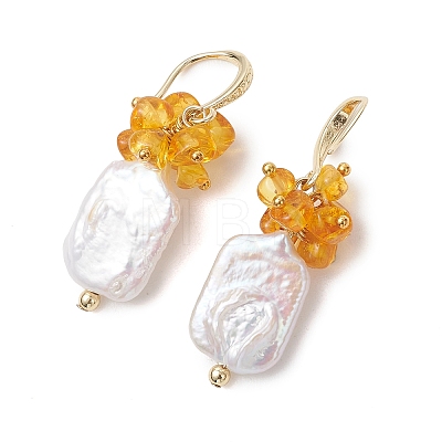 Natural Amber Dangle Earrings EJEW-JE07055-1