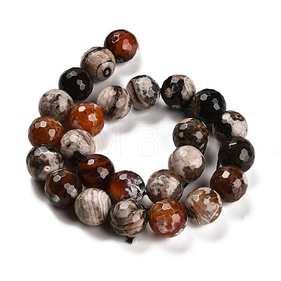 Natural Fire Crackle Agate Beads Strands G-L595-A02-01F-1